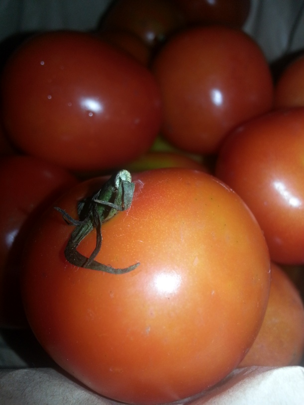 Vine-ripened tomatoes