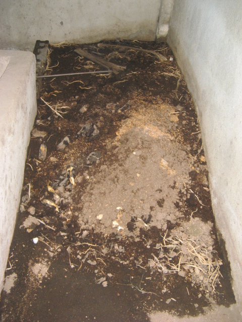 Worm bed that provides nutrient-rich fertiliser for plants and soil.